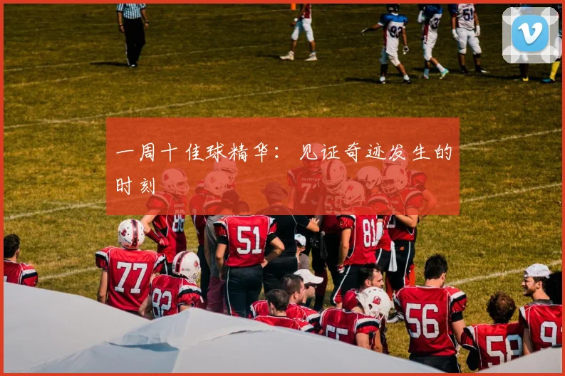 一周十佳球精华:见证奇迹发生的时刻