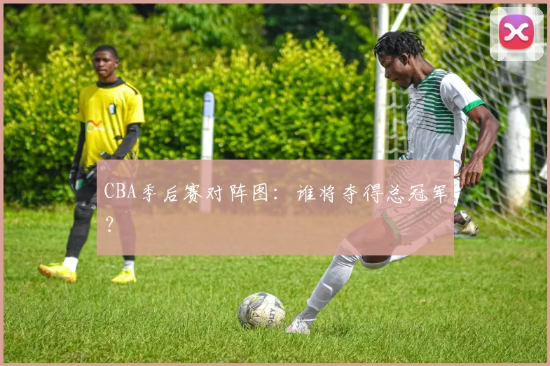 CBA季后赛对阵图：谁将夺得总冠军？