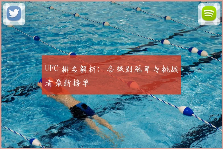 UFC 排名解析：各级别冠军与挑战者最新榜单